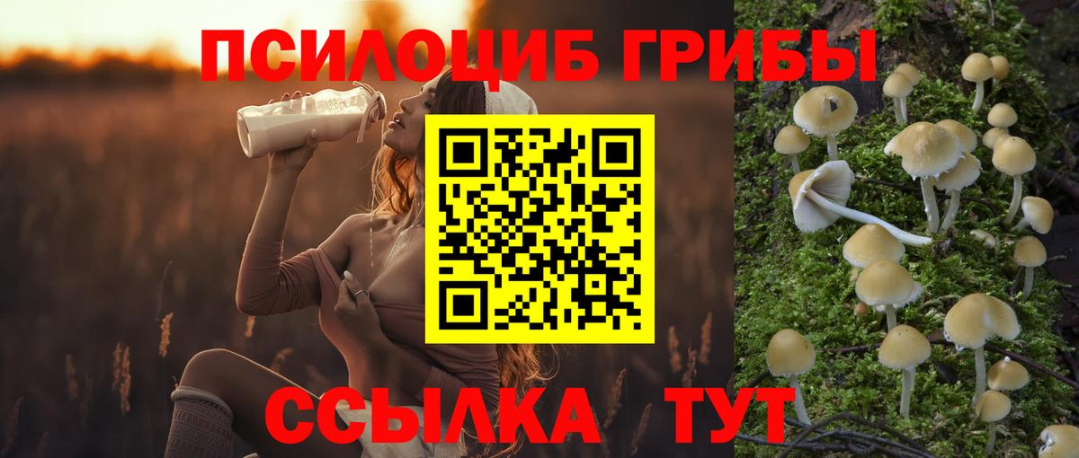 Псилоцибиновые грибы MAGIC MUSHROOMS  Вход с VPN  Похвистнево  Псилоцибиновые грибы мухоморы 